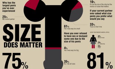 Penis Size Comparison Chart
